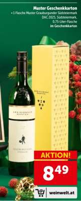 Muster Geschenkkarton