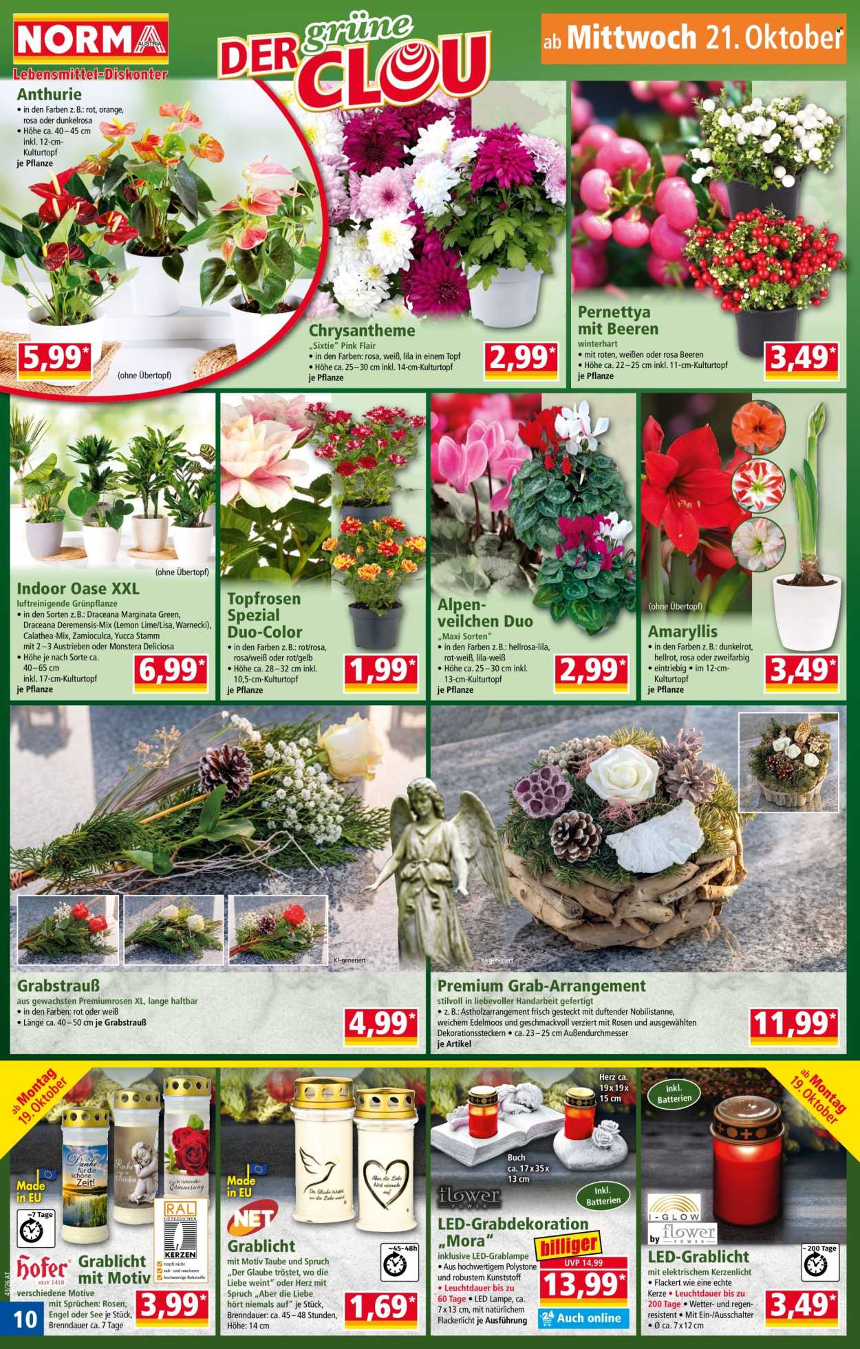 Angebote Norma - 19.10.2026 - 24.10.2026. Seite 10