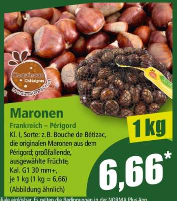 Maronen